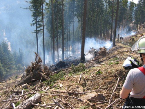 2009_04_10 Waldbrand Sieber 003